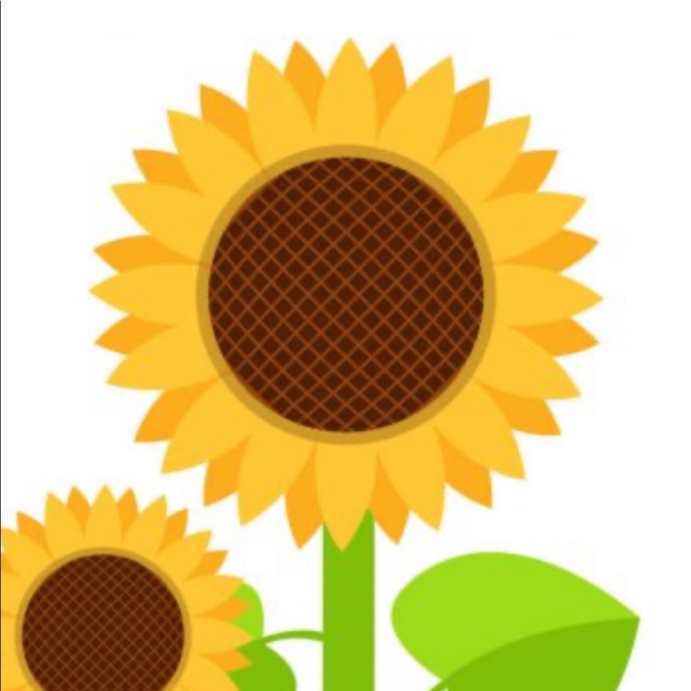 Meet your Posher, Gina